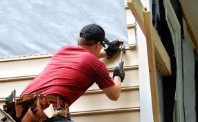 Best Insulated Siding Installation  in Hebbronville, TX